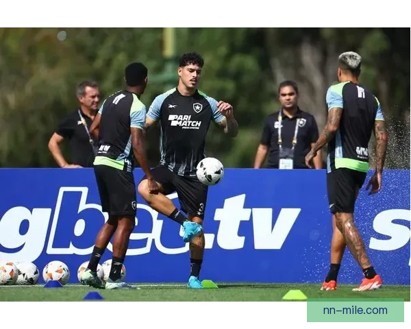 博塔弗戈历史性夺得南美解放者杯冠军 成就俱乐部辉煌新篇章