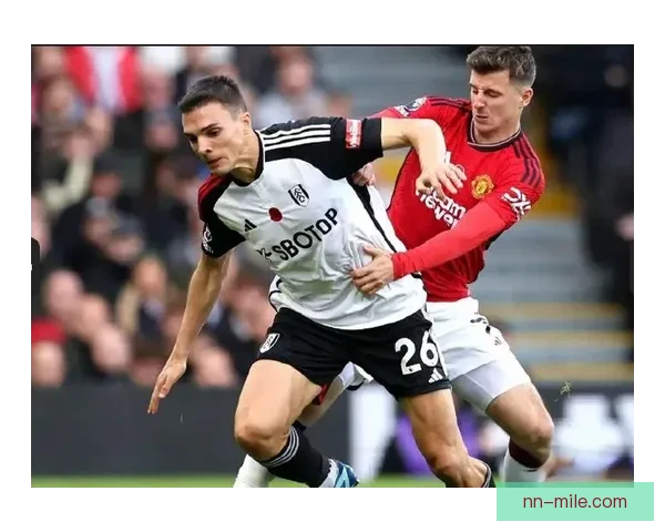 拜仁慕尼黑官方宣布签约富勒姆中场核心帕利尼亚